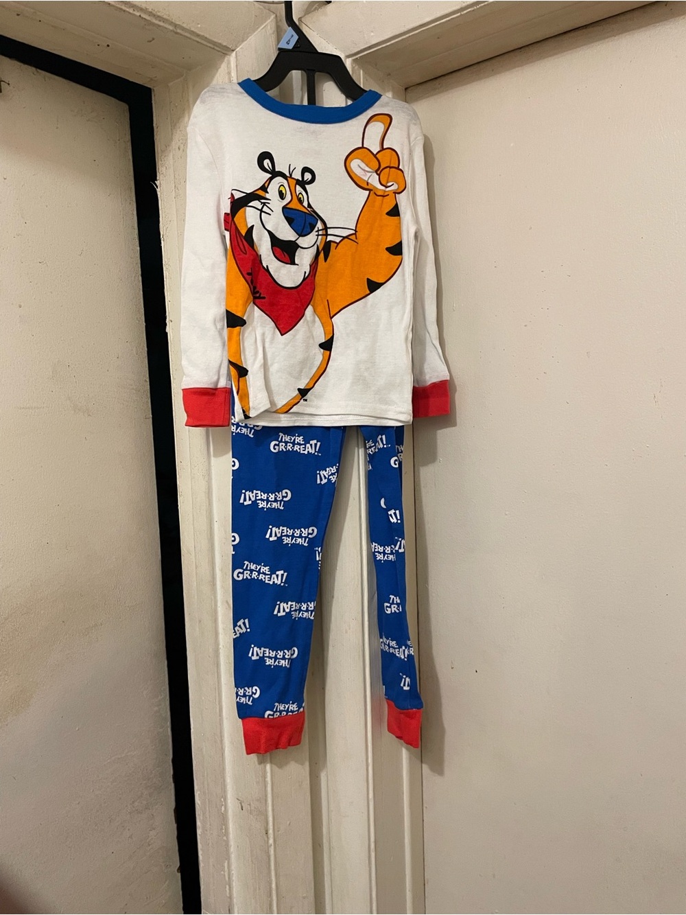Tony the Tiger 2 Piece Pajama Set Kids Size 4 Top Size 4 Pants Size 6 Cotton